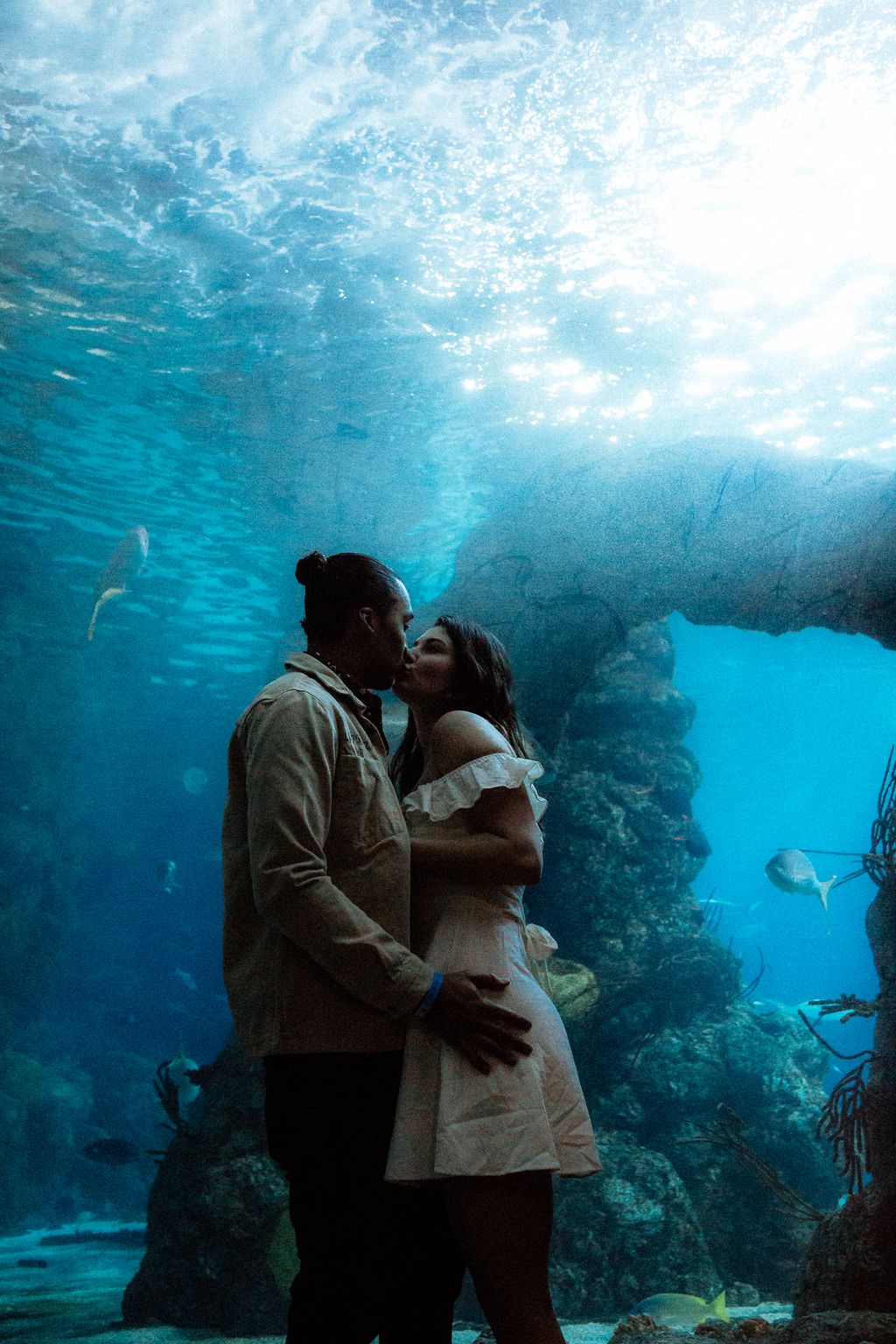 Aquarium engagement