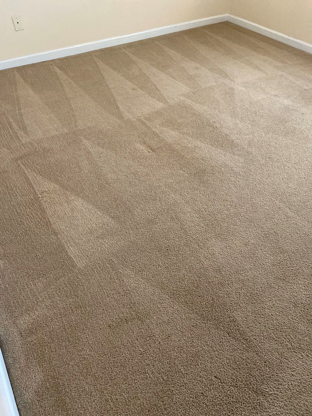 He did an amazing job! He got things out my carpet