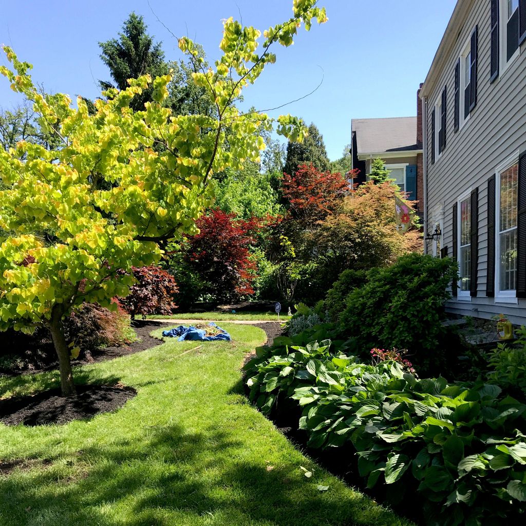 Grass monkey lawn care and maintenance