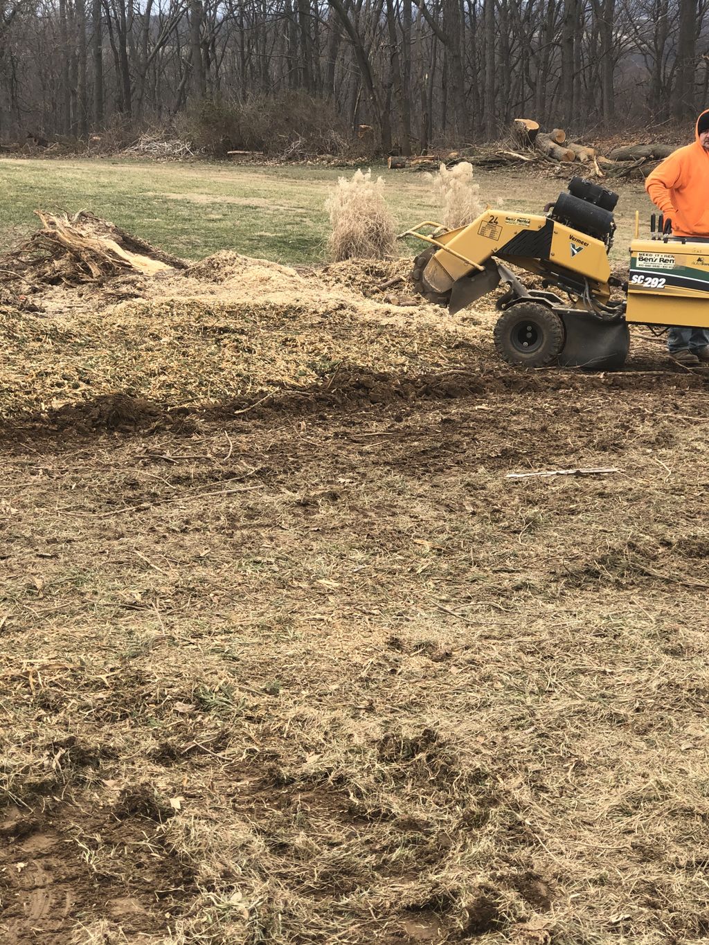 Tree Trimming and Removal