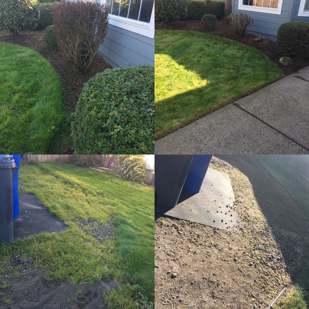 Customer photos
