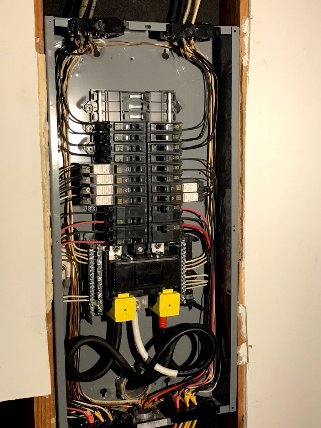 Projects and media