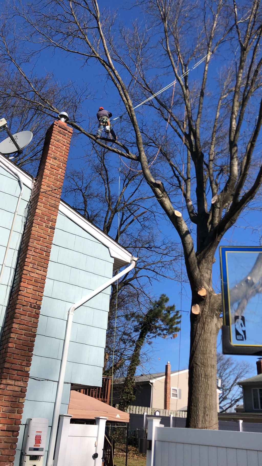 ☘️TREBOL TREE SERVICES LLC