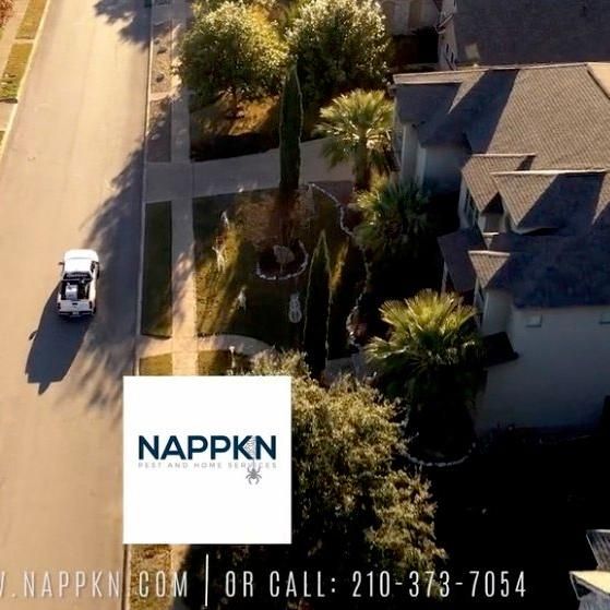 NAPPKN Pest & Home Services
