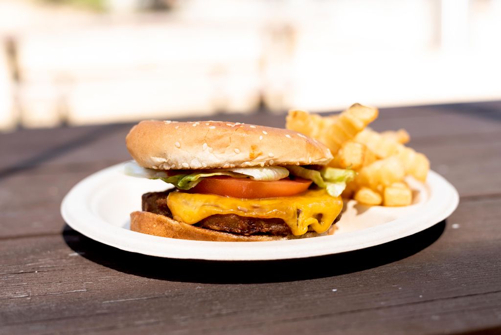 Chicken or Veg Burger load with Fries