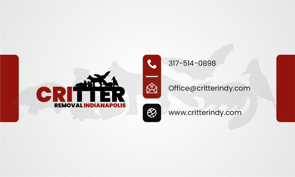 Logo and Contact