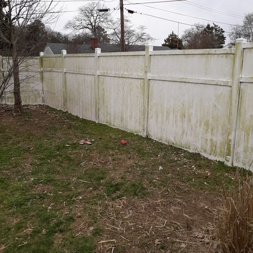 Fence Painting
