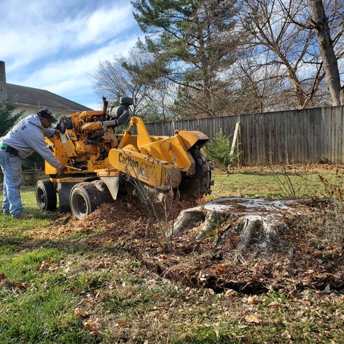 Tree Stump Grinding and Removal