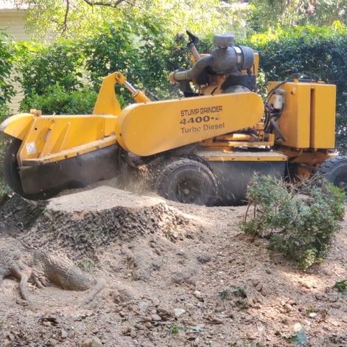 Tree Removal & Stump Grinding in Fairfax VA, Arlington VA & Surrounding