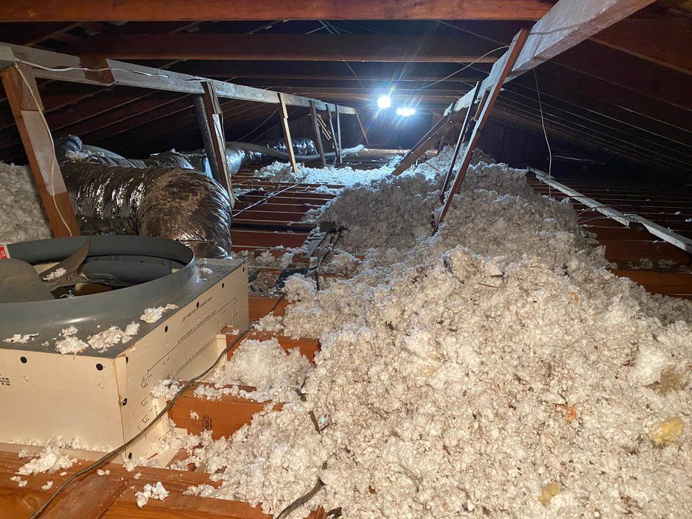 Attic insulation upgrade