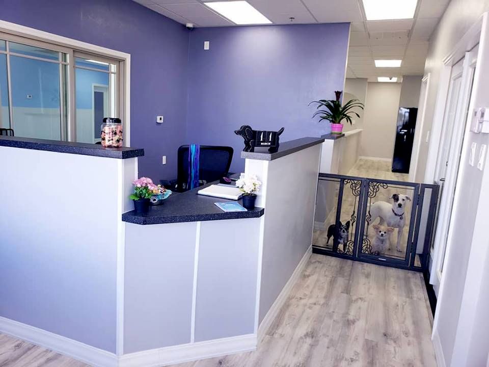 Our front desk is connected to our indoor play yar