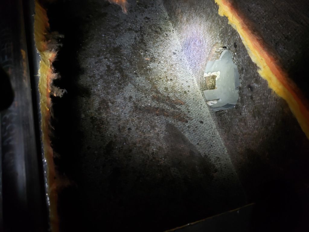 Before it had been treated  black mold in the trun