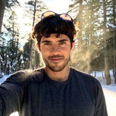 pro avatar