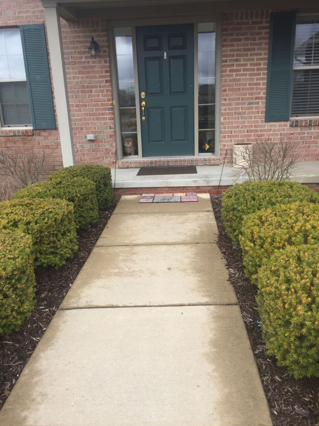 bark and brushes mobile grooming