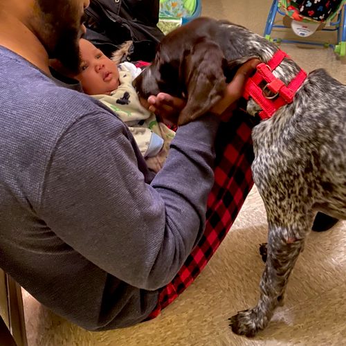Handsome moose meeting my boyfriend and son🥰