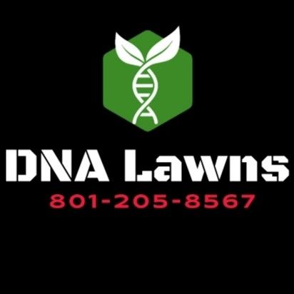 DNA Lawns