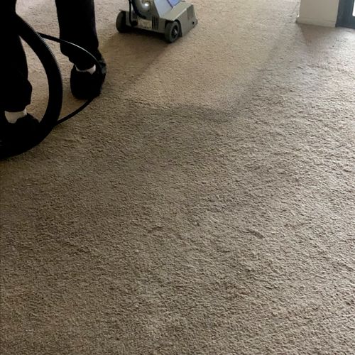 Hired Shine Cleaning Service to clean my carpets a
