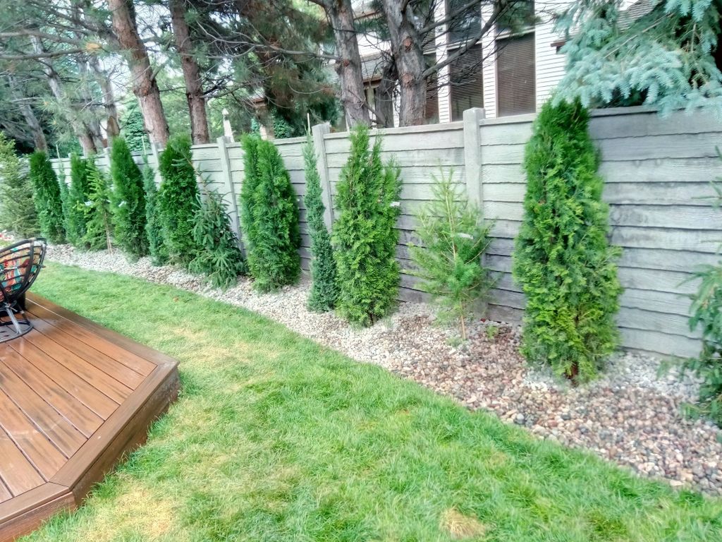 Some land Landscaping