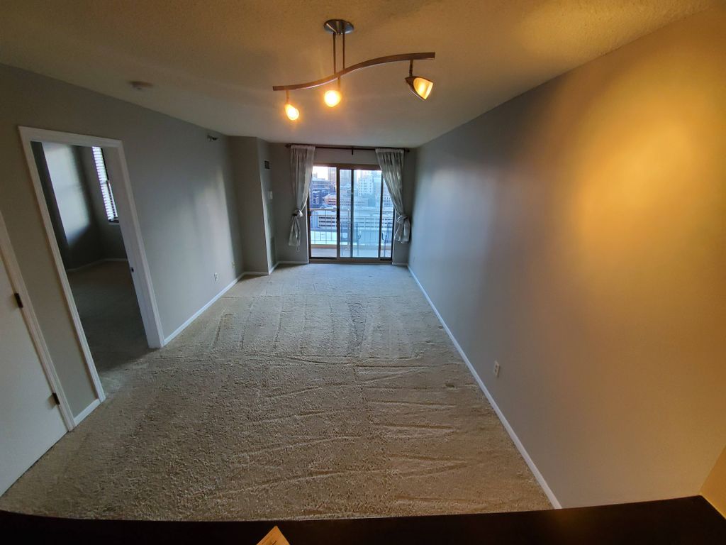 Carpet Cleaning 