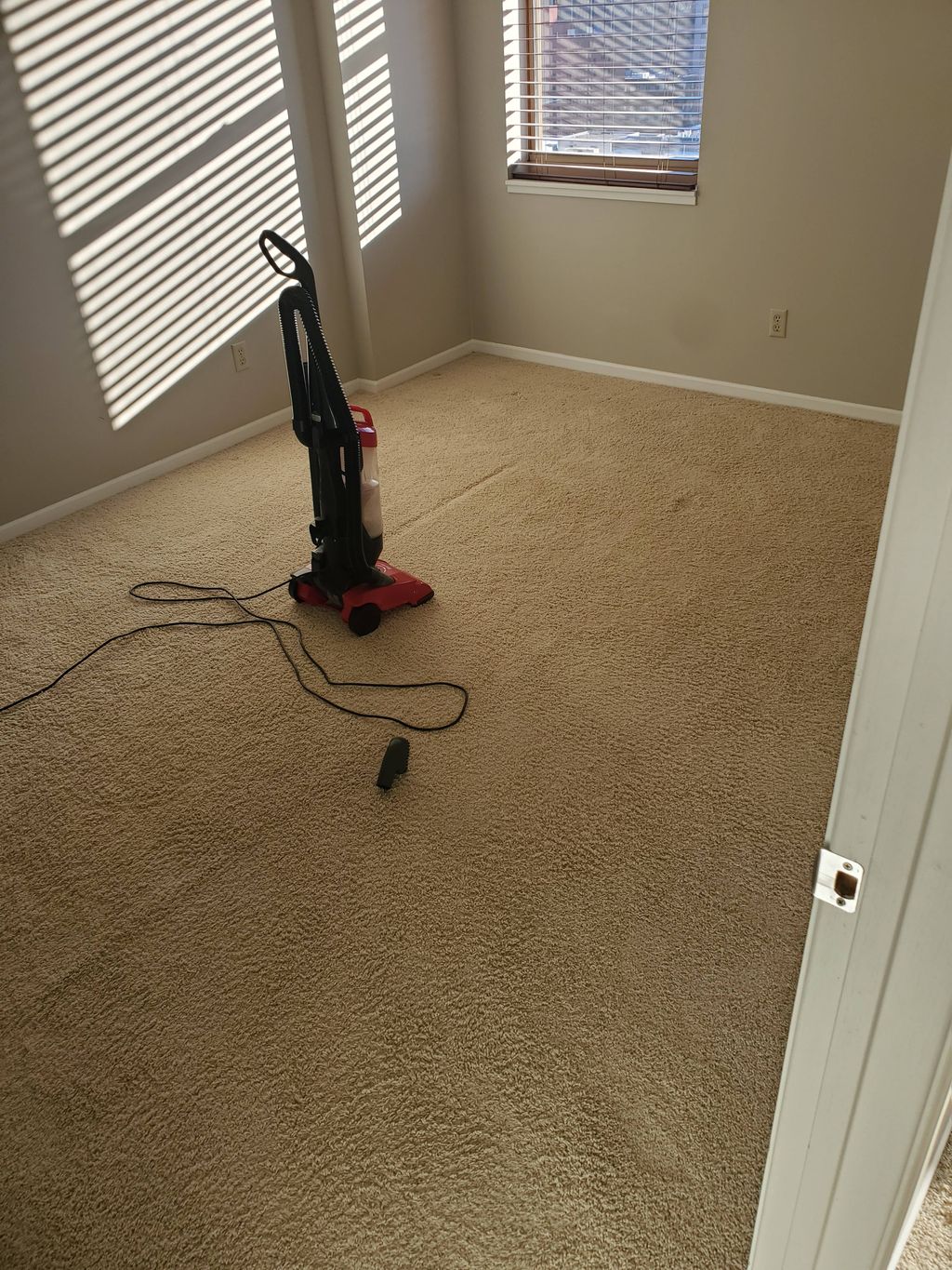 Carpet Cleaning 