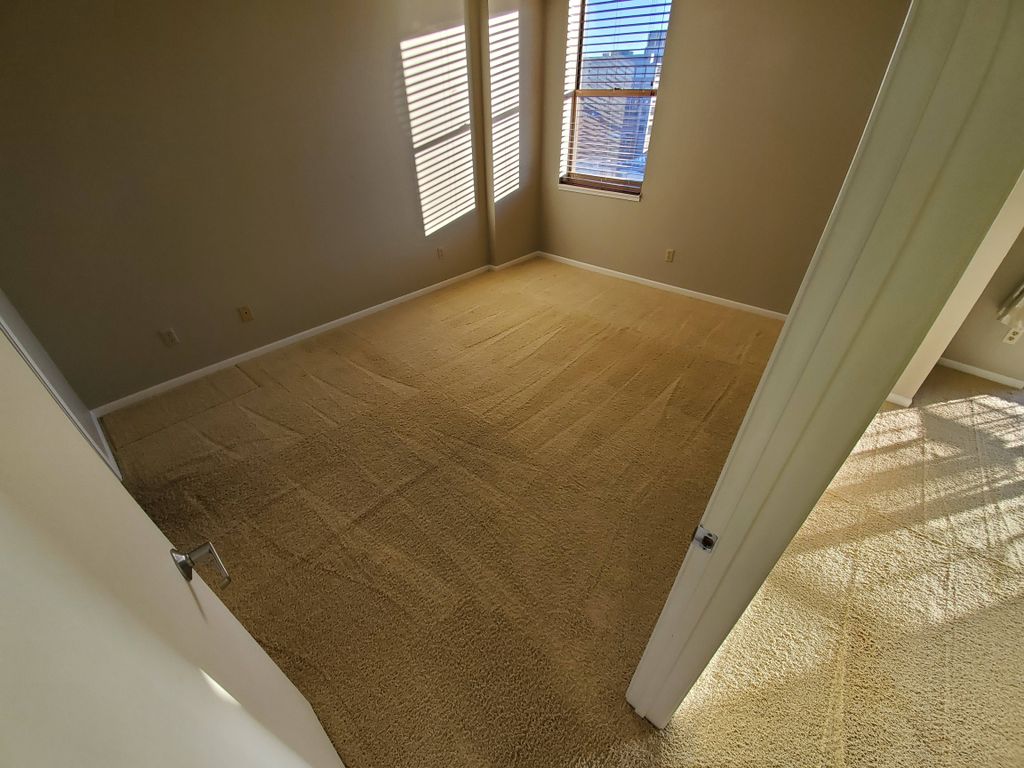 Carpet Cleaning 