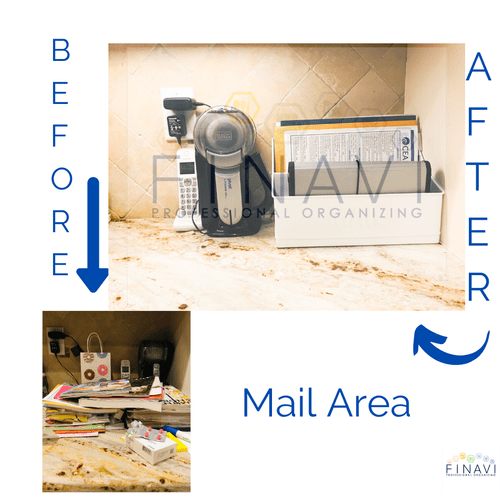 Finavi Professional Organizing Llc Rockville Centre, NY