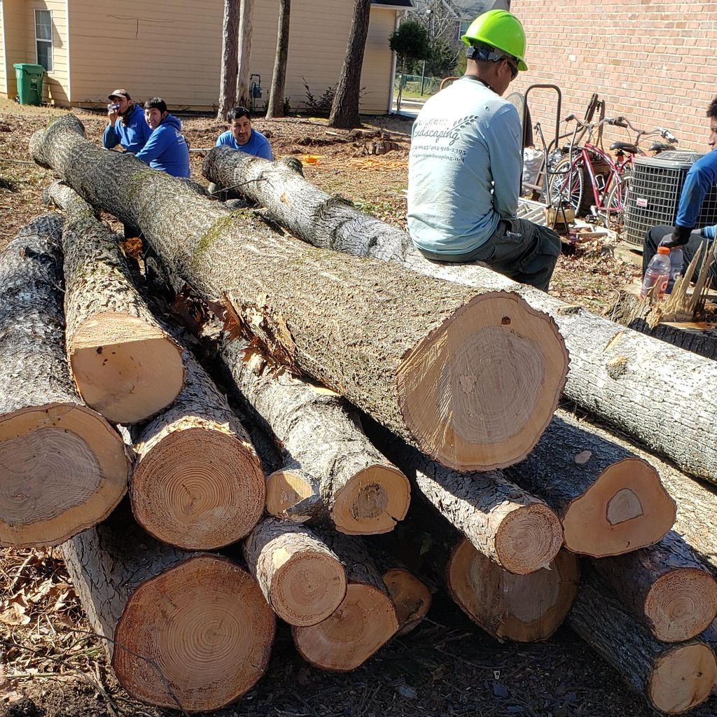 Premier Grading & Tree removal