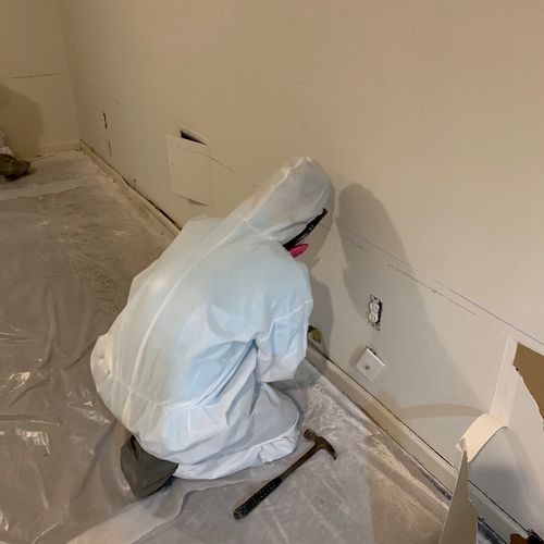 Mold Remediation basement project