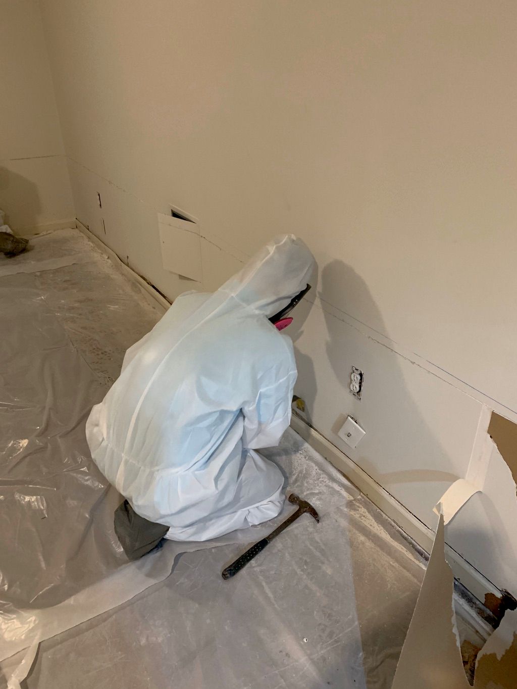 Mold Remediation basement project