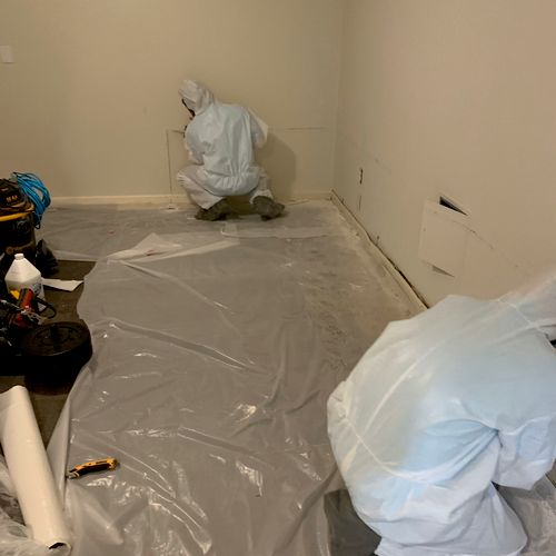 Mold Remediation basement project