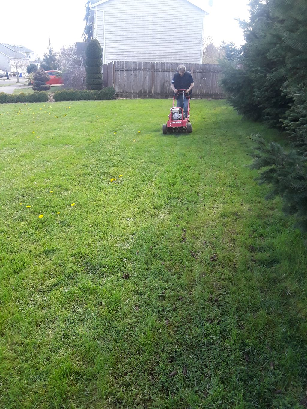 Thaching a lawn