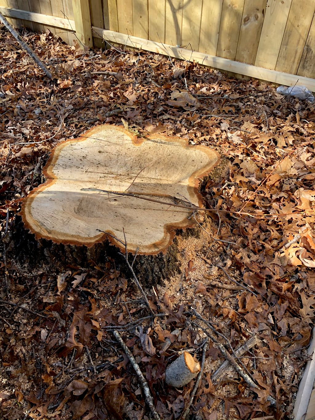 Tree Stump Grinding and Removal