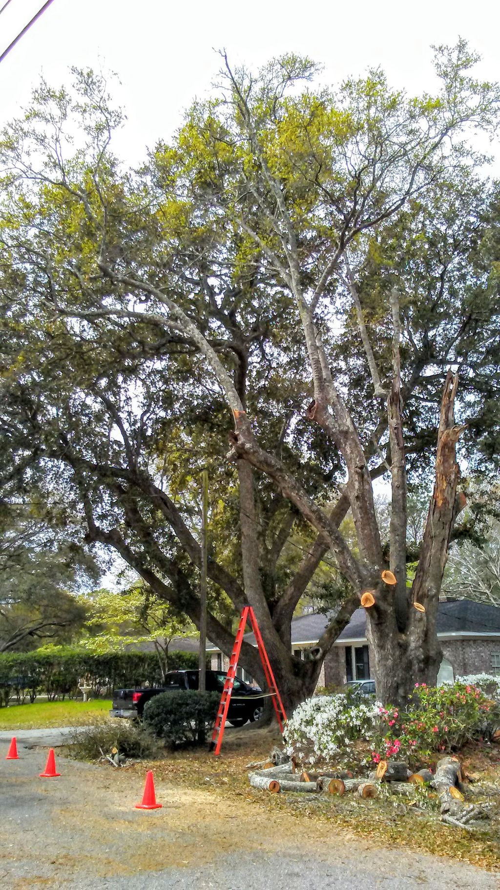 Using ingenuity and sheer determination, I managed