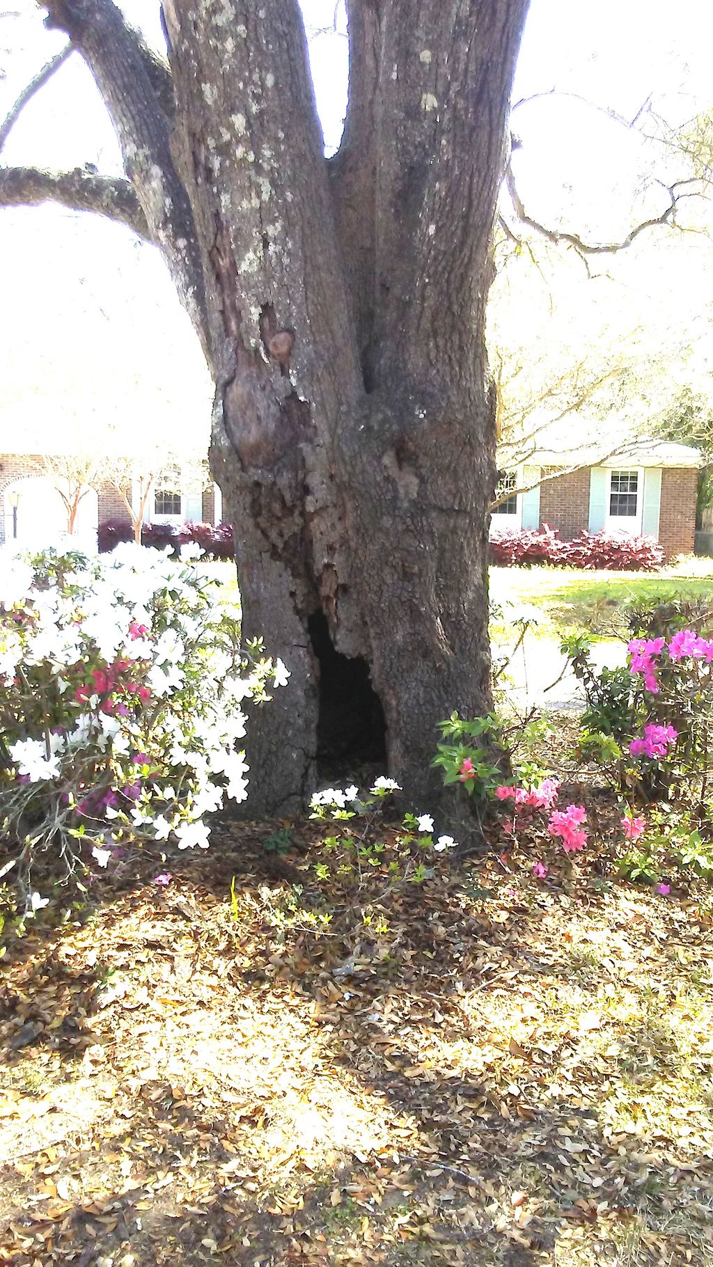 I arrived to discover that a man-lift was required