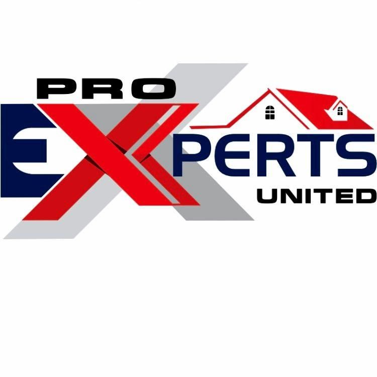 Pro Experts United