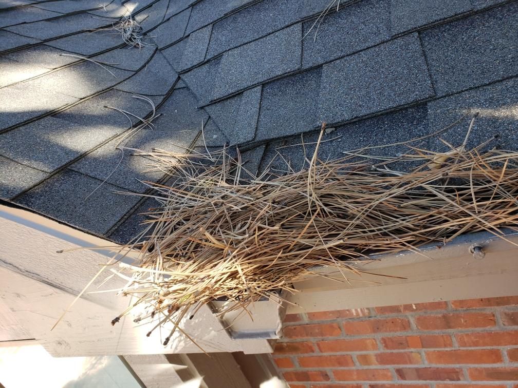 Gutter Installation or Replacement