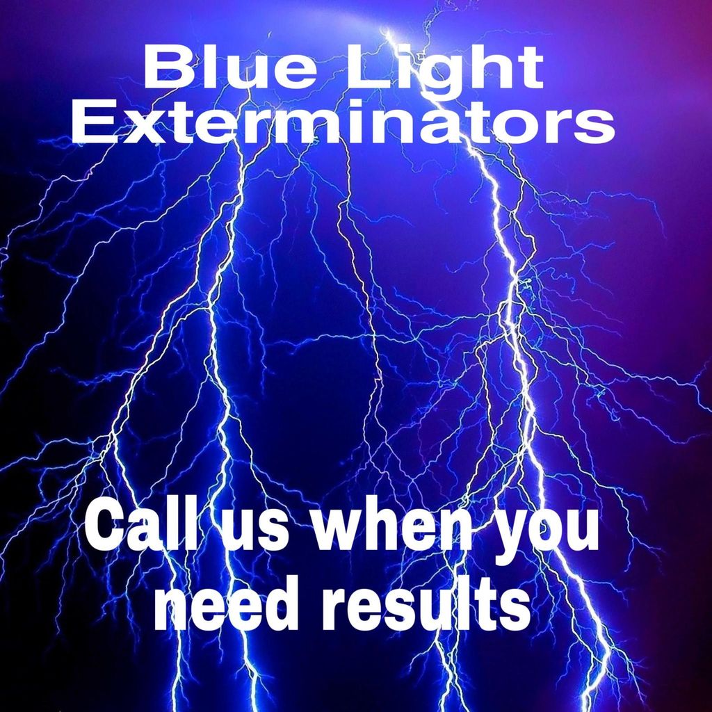 Blue Light Exterminators