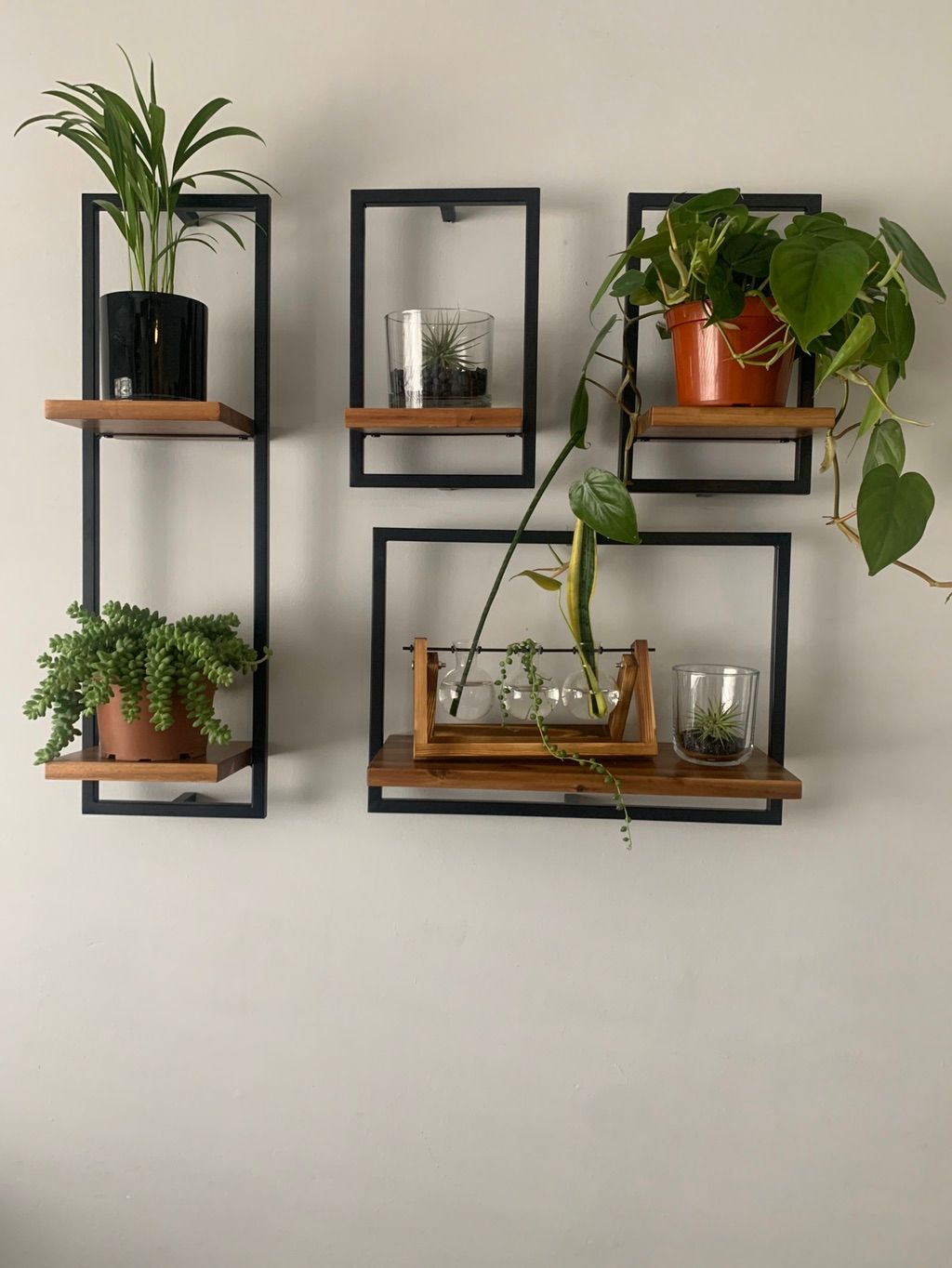 Customer photos