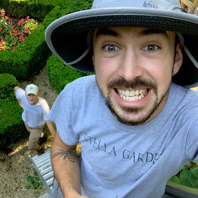 Avatar for Stella Gardens Landscaping