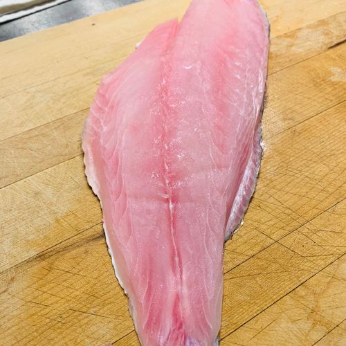 Beautiful Fresh Red Snapper