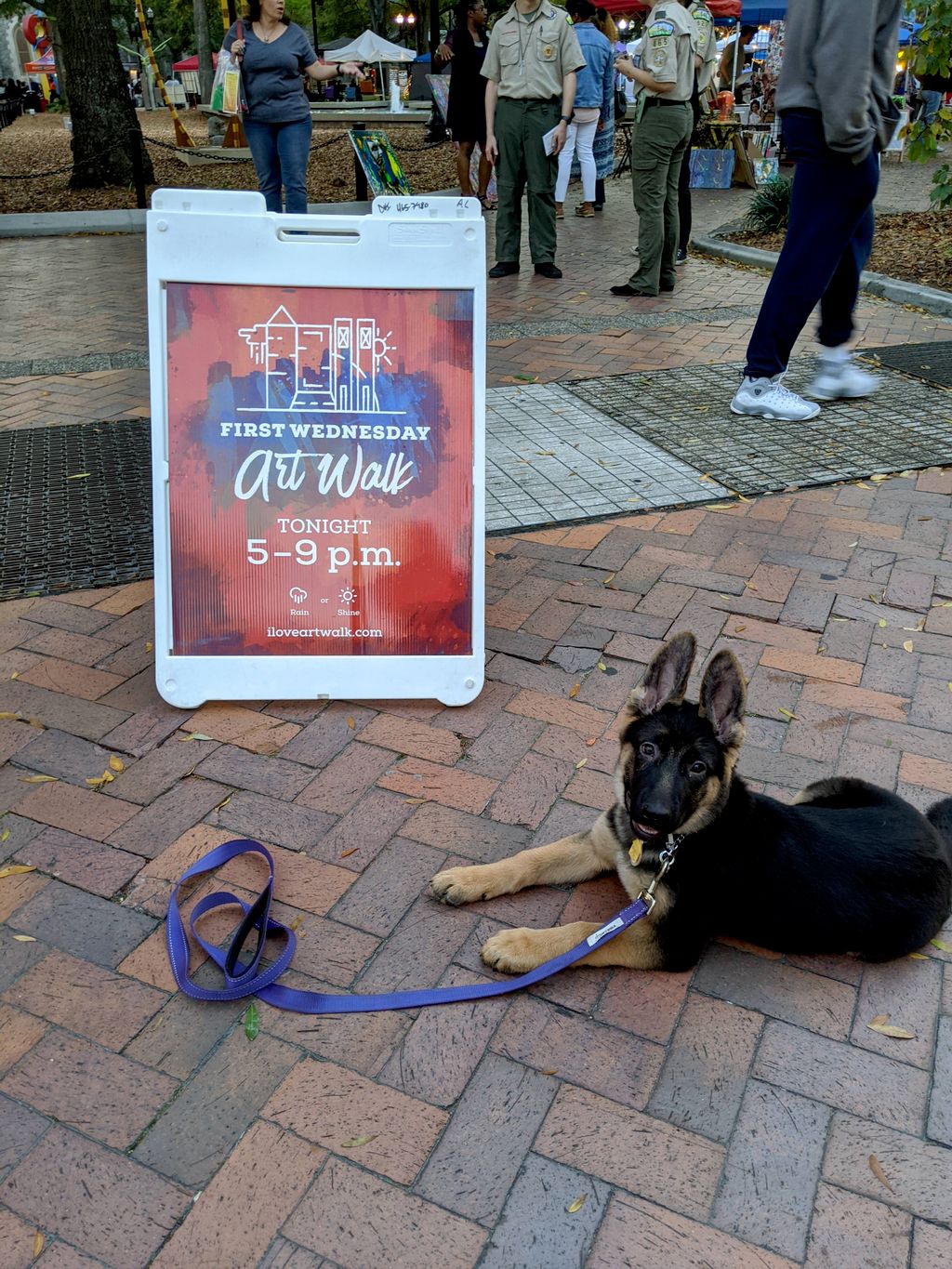 Dixie (13 week old puppy) at Art Walk in Downtown 