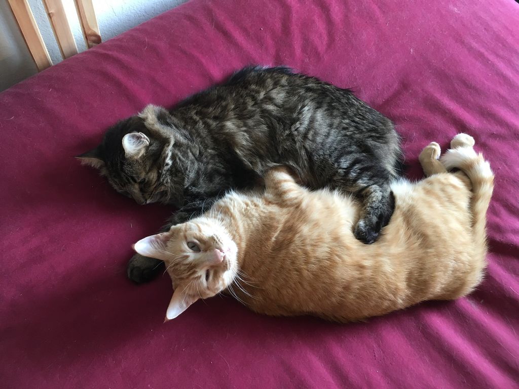 Sleepy time