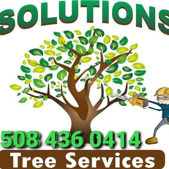 Solutions Tree & Dumpster Rental Services