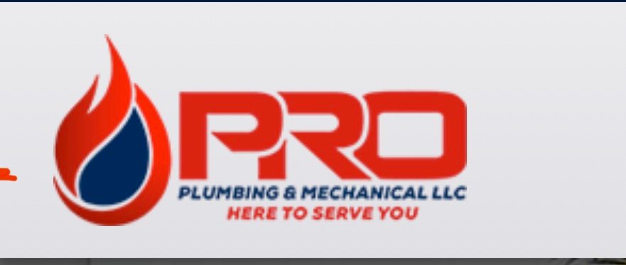 Pro Plumbing