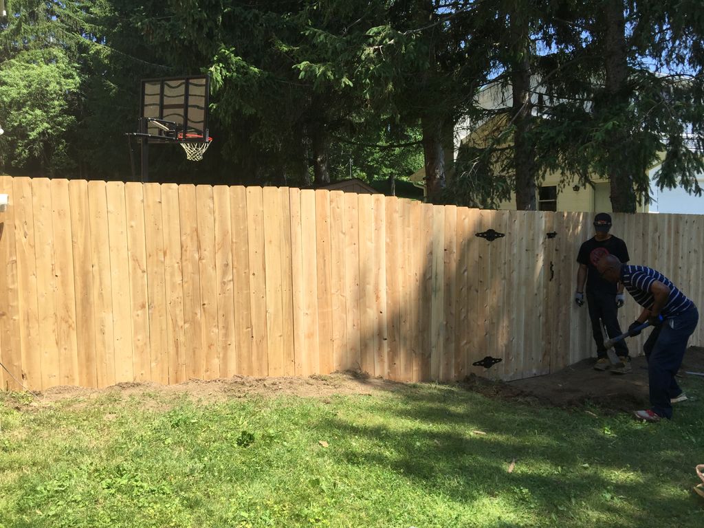 New fence.