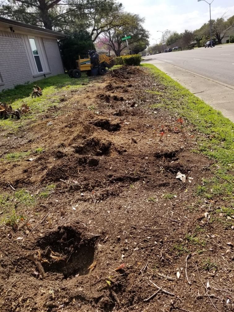 During- 28 small stumps 