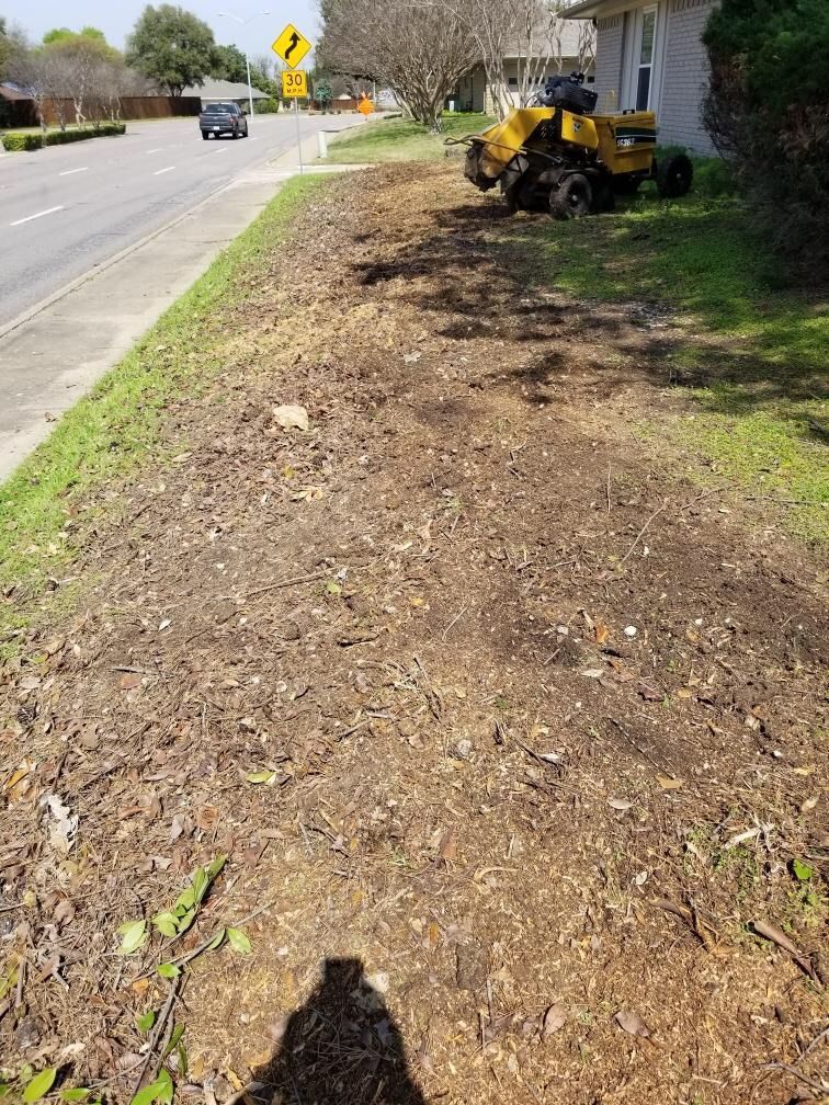 After- 28 small stumps 