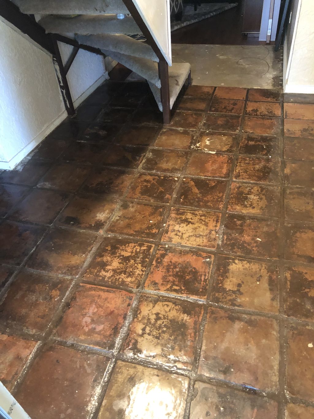 Tile and Grout Cleaning