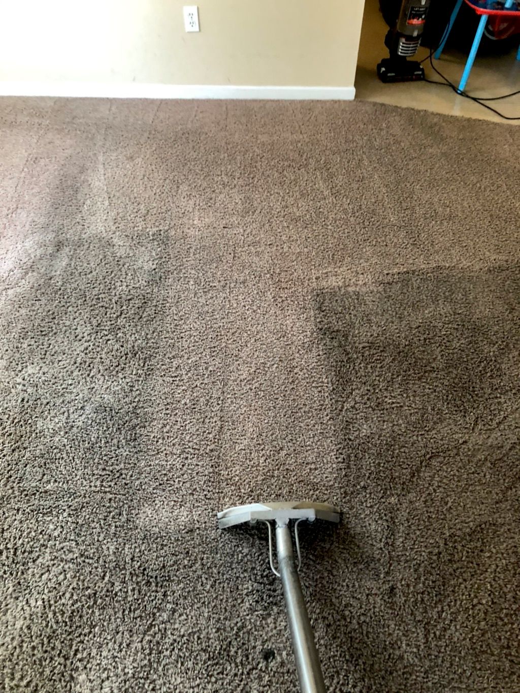 Exceptionally Clean Carpet