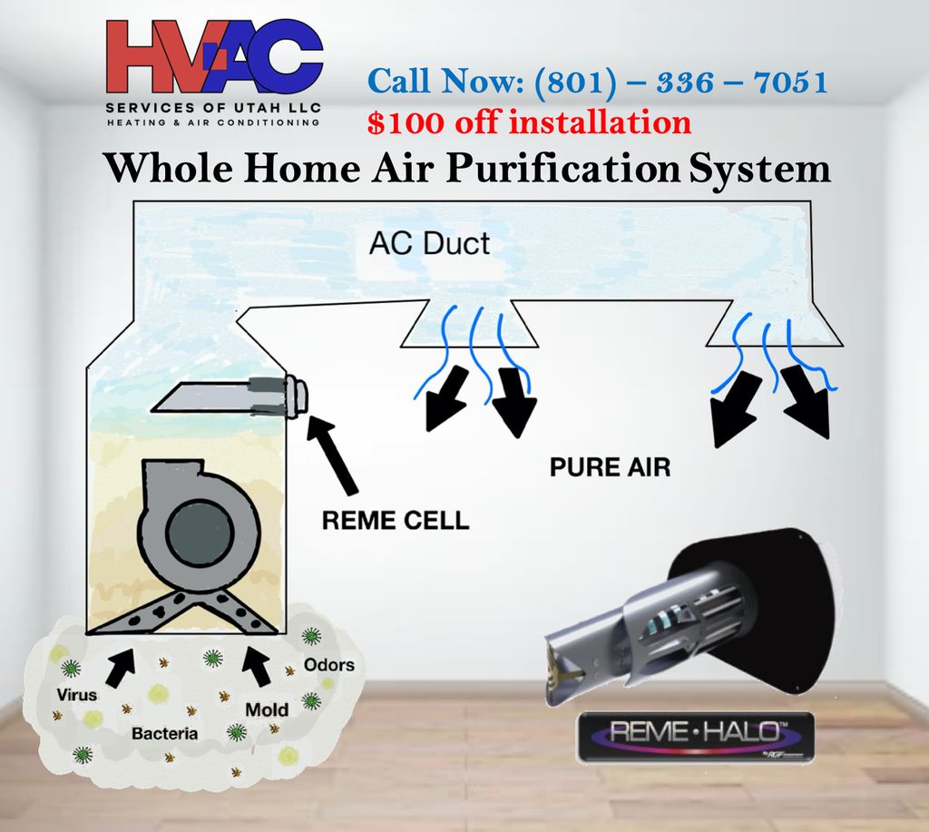Reme Halo Air Purification